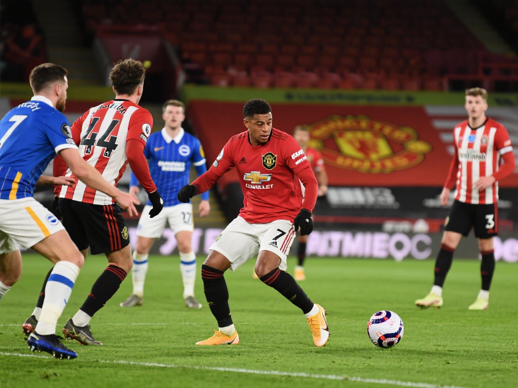 带来了更大 带来了更大